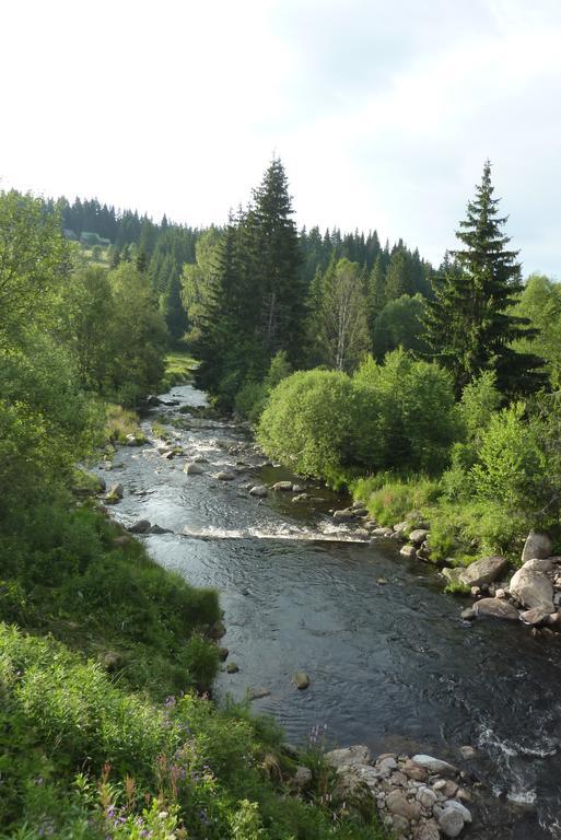 Penzion U Pstruha Modrava Kültér fotó